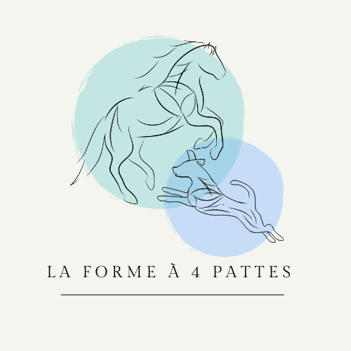 Logo La Forme à 4 Pattes Logo La Forme à 4 Pattes