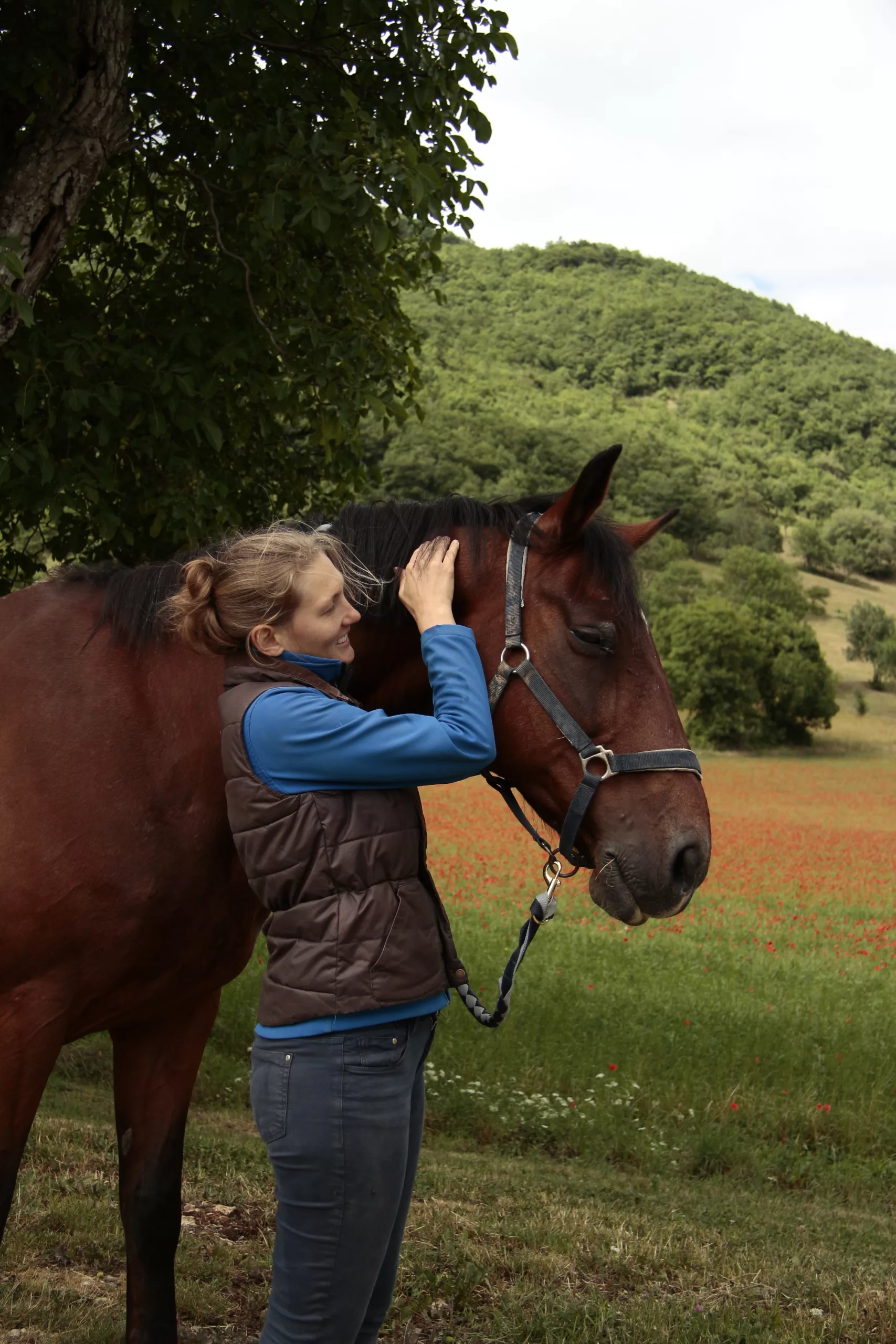 Physiothérapeute qui palpe les cervicales d'un cheval