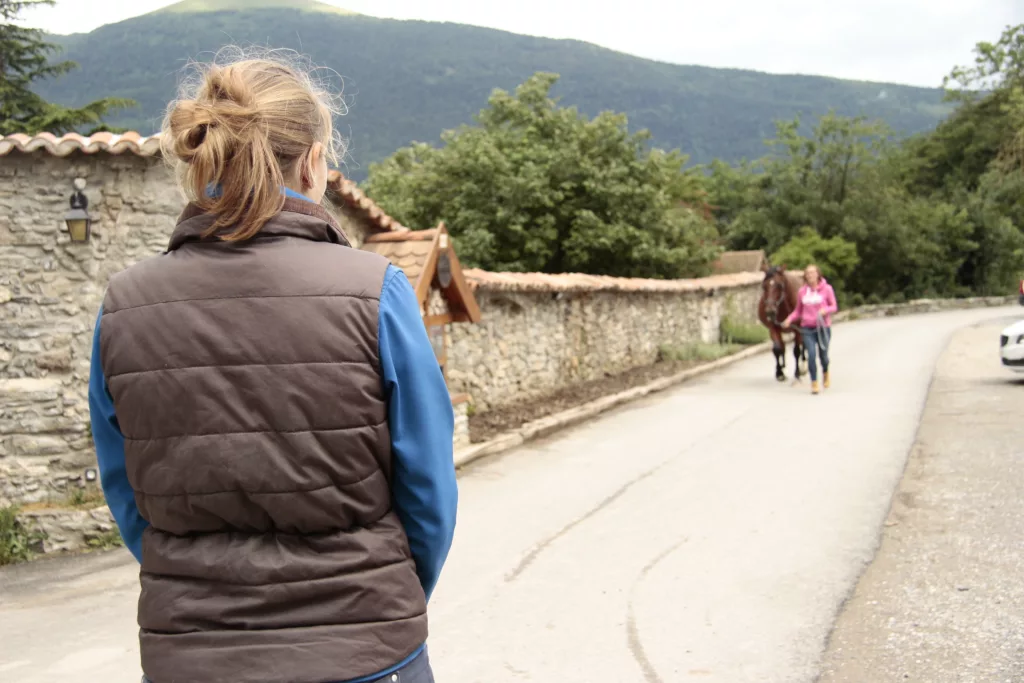 Observation d'un cheval qui boite en séance de physiothérapie équine